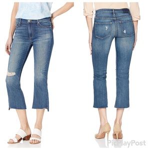 🆕  Black Orchid Jeans size 31 NWT